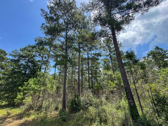 00 Fm 946, Oakhurst, TX 77359