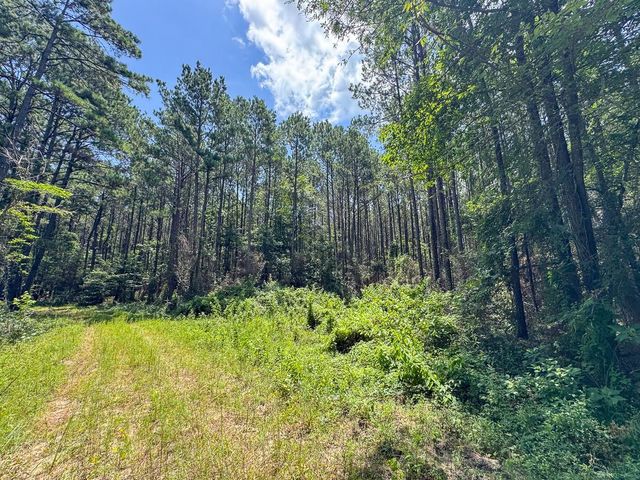 00 Fm 946, Oakhurst, TX 77359