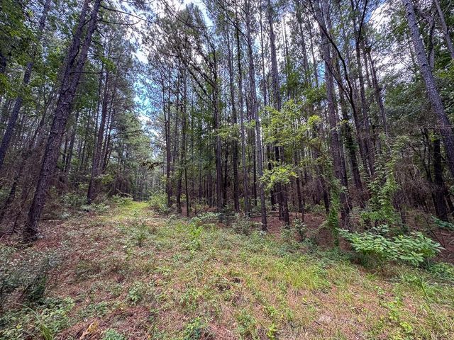 00 Fm 946, Oakhurst, TX 77359