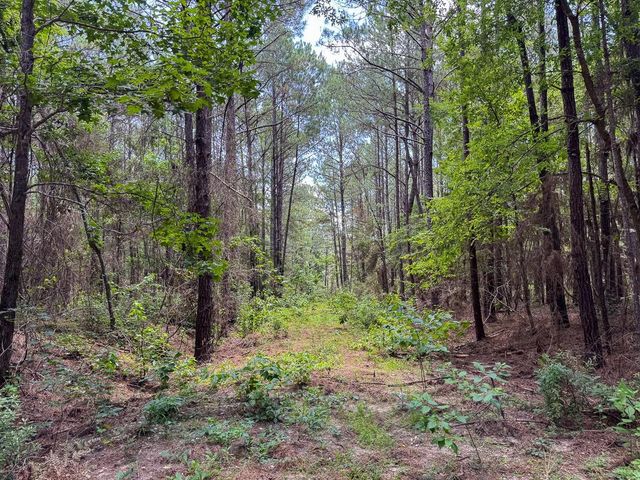 00 Fm 946, Oakhurst, TX 77359