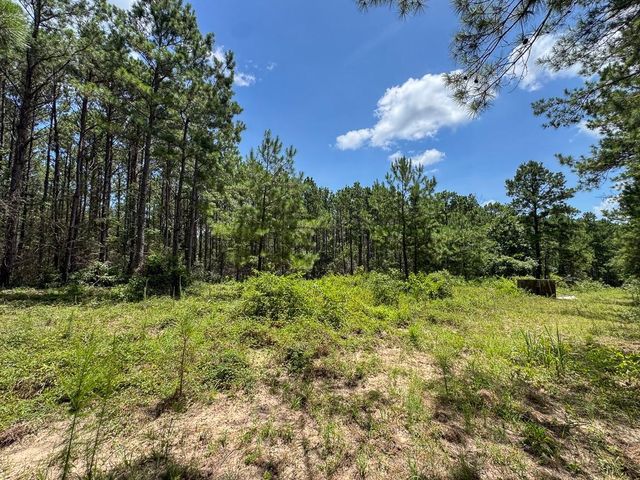 00 Fm 946, Oakhurst, TX 77359