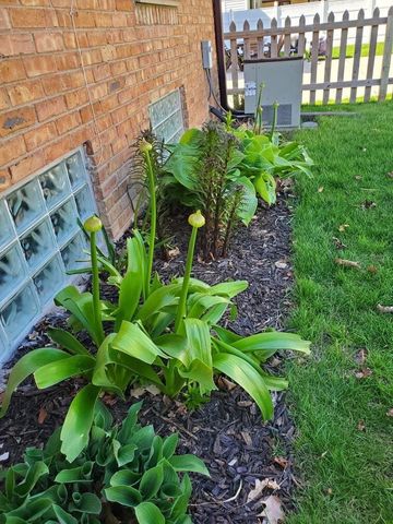 2440 S 81st STREET, West Allis, WI 53219