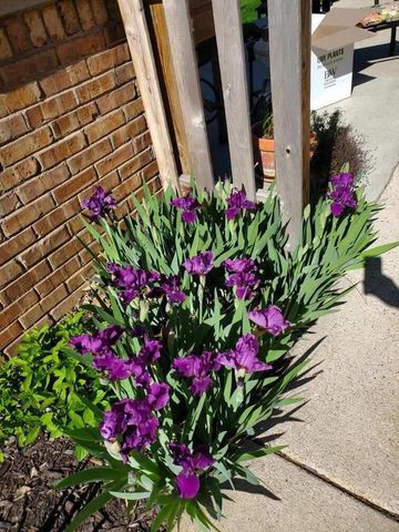 2440 S 81st STREET, West Allis, WI 53219