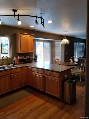 21819 Longs Peak Lane, Parker, CO 80138