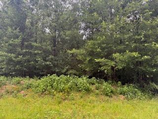 TBD Deer Trail, Livingston, TX 77351