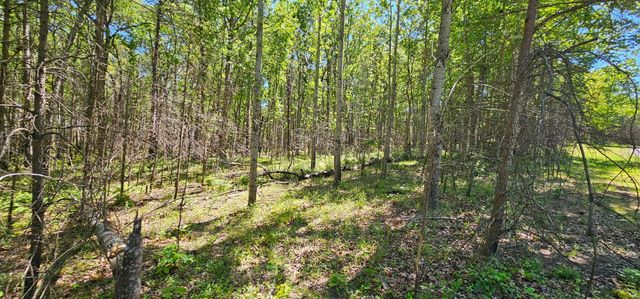 0 Bluffview Dr, Dunlap, TN 37327