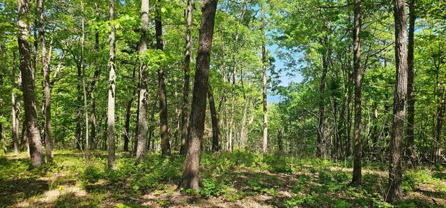 0 Bluffview Dr, Dunlap, TN 37327