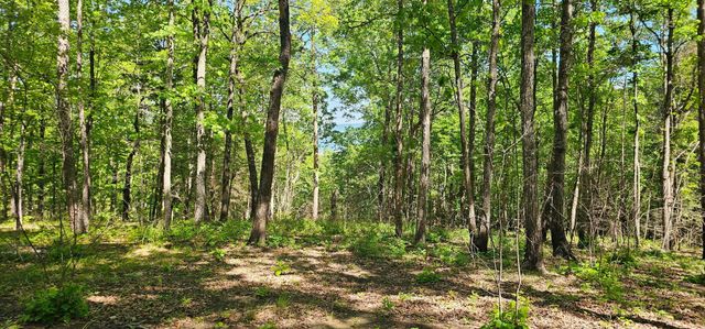 0 Bluffview Dr, Dunlap, TN 37327