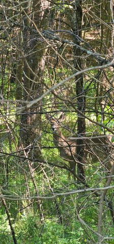 0 Bluffview Dr, Dunlap, TN 37327
