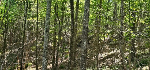 0 Bluffview Dr, Dunlap, TN 37327