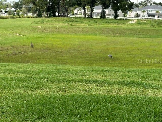 4593 SW 81ST LOOP, Ocala, FL 34476
