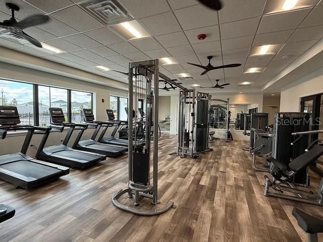 4593 SW 81ST LOOP, Ocala, FL 34476