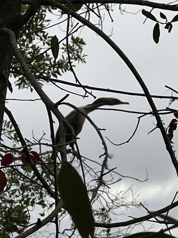 1208 Overdale Rd, St Augustine Beach, FL 32080