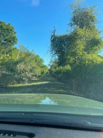 1208 Overdale Rd, St Augustine Beach, FL 32080