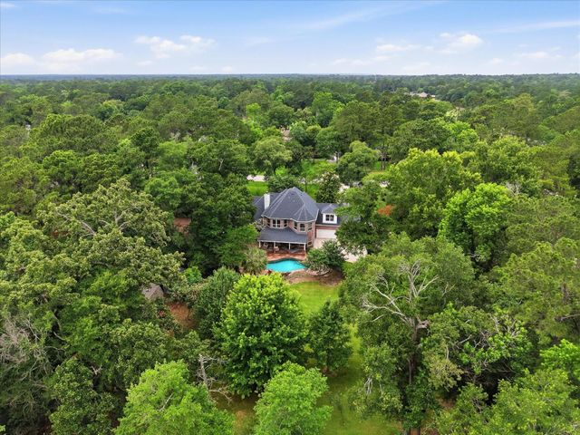 32718 Green Bend Court, Magnolia, TX 77354