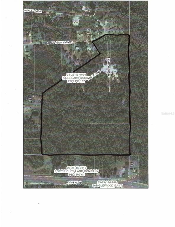 0 ROYAL PALM AVE, New Port Richey, FL 34654