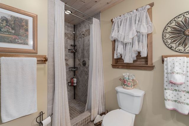 337 Branch Creek Road, Blue Ridge, GA 30513