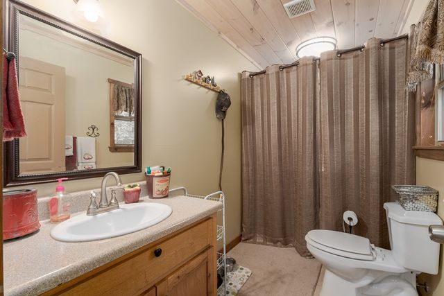 337 Branch Creek Road, Blue Ridge, GA 30513