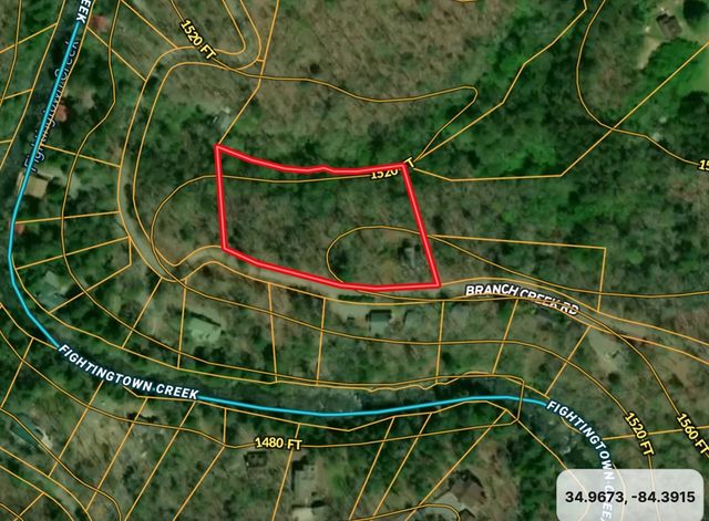 337 Branch Creek Road, Blue Ridge, GA 30513