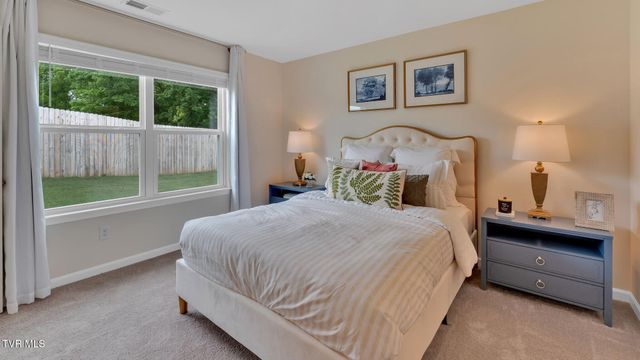 139 Mint Court, Bluff City, TN 37618