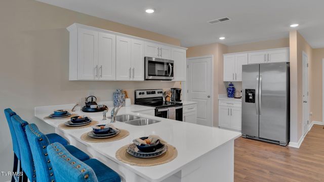 139 Mint Court, Bluff City, TN 37618