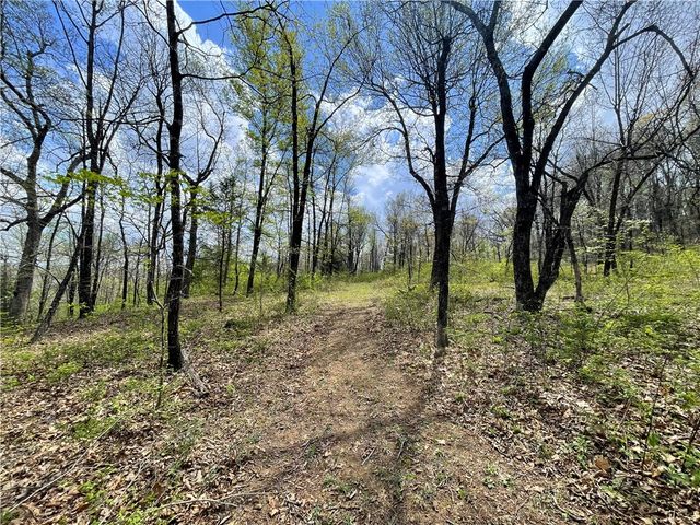 14240 Truelove Road, West Fork, AR 72774