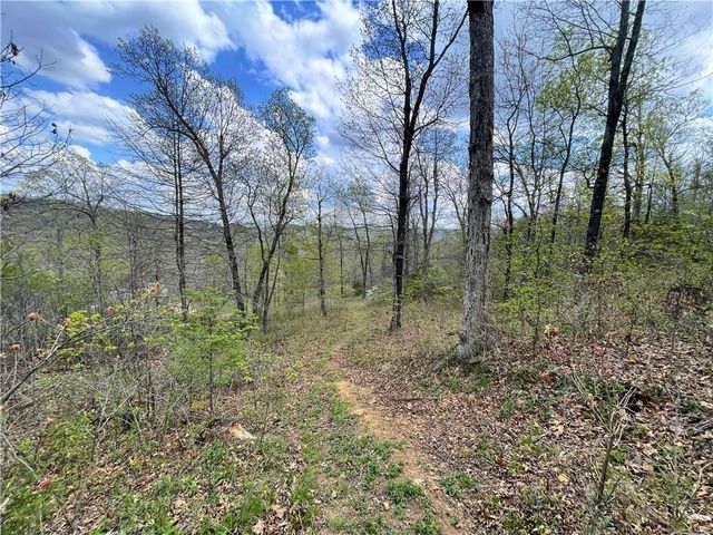 14240 Truelove Road, West Fork, AR 72774