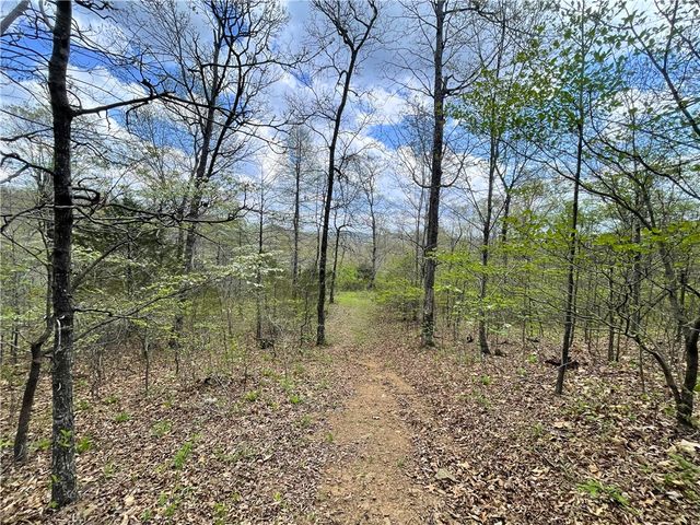 14240 Truelove Road, West Fork, AR 72774