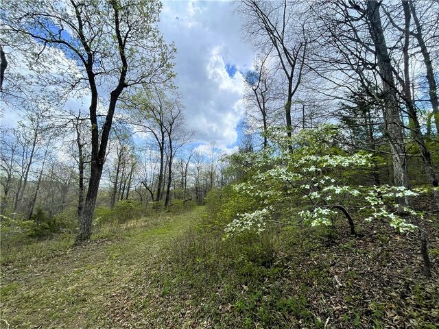 14240 Truelove Road, West Fork, AR 72774