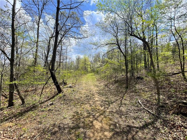 14240 Truelove Road, West Fork, AR 72774