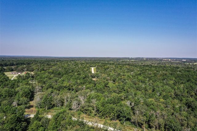 10 Acres Lot 81 Woodland Hills Ranch, Centerville, TX 75833