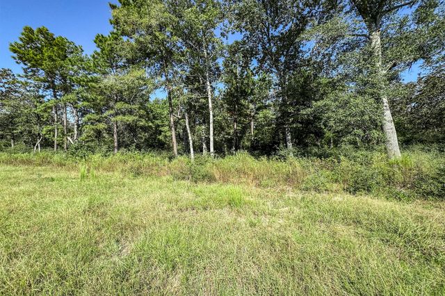 10 Acres Lot 81 Woodland Hills Ranch, Centerville, TX 75833
