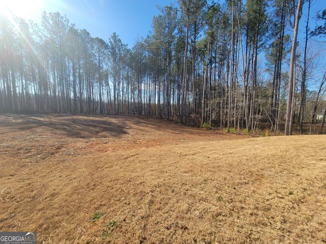 195 Great Gorge Parkway, Covington, GA 30016