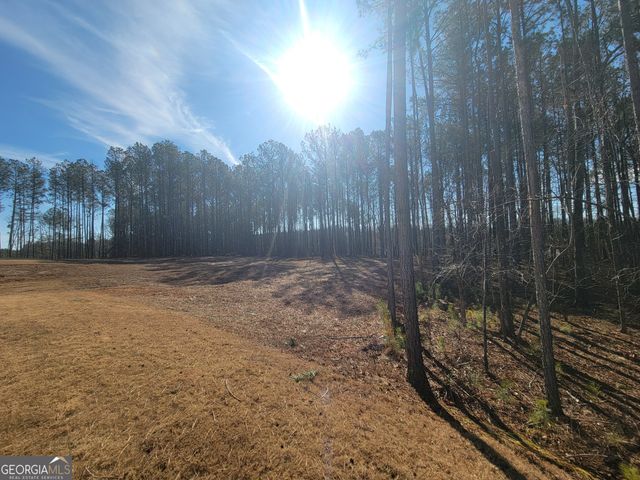 195 Great Gorge Parkway, Covington, GA 30016