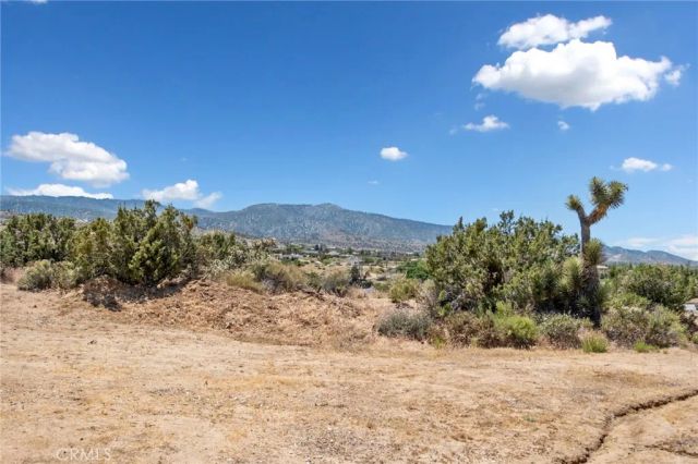 8837 Malpaso Road, Phelan, CA 92371