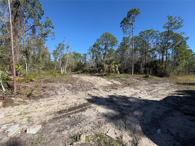 230 Ocean Park DR, Lehigh Acres, FL 33972