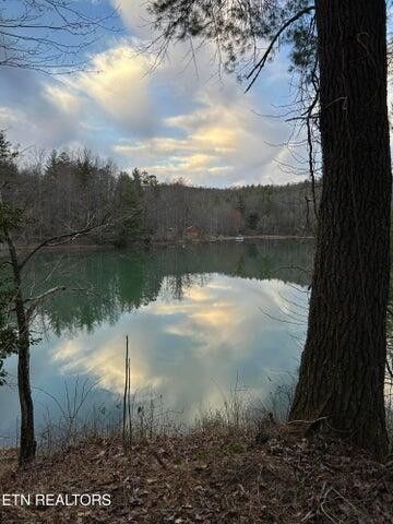 1218 Bear Den Trail, Grandview, TN 37337