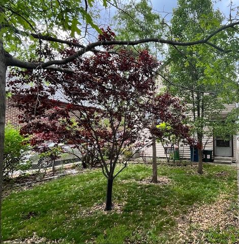 1718 N 15th Avenue, Melrose Park, IL 60160