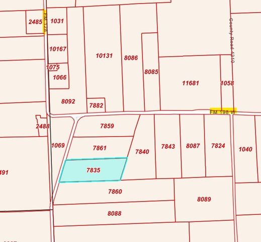 TBD FM 128 & FM 198, Cooper, TX 75432