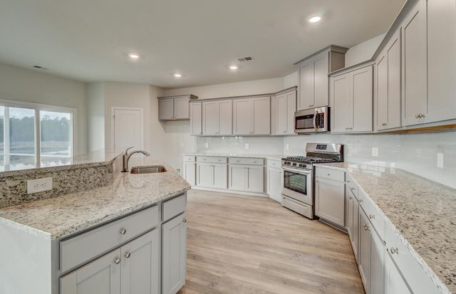 1044 Red Turnstone Run, Summerville, SC 29485
