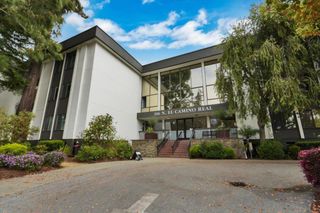 316 N El Camino Real 217, San Mateo, CA 94401