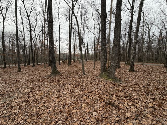 2095 Lake Louisa Loop, Monteagle, TN 37356