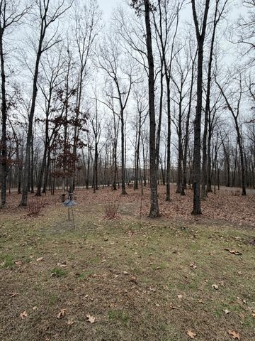 2095 Lake Louisa Loop, Monteagle, TN 37356