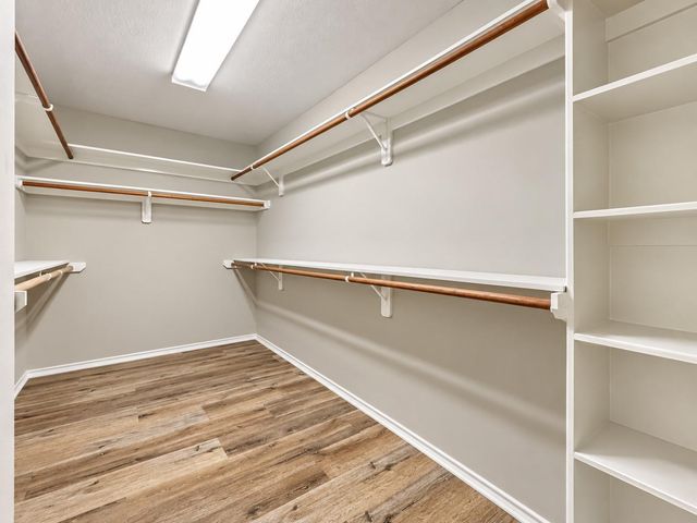 43 W Spindle Tree Circle, The Woodlands, TX 77382
