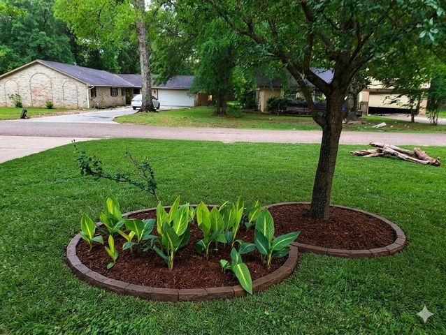 809 Glen Hollow Drive, Conroe, TX 77385