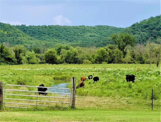 49501 Hwy 171, Gays Mills, WI 54631