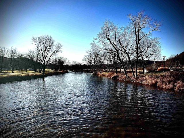 49501 Hwy 171, Gays Mills, WI 54631