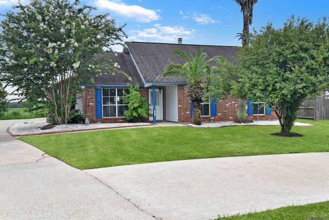 10290 Lake Park Ave, Gonzales, LA 70737