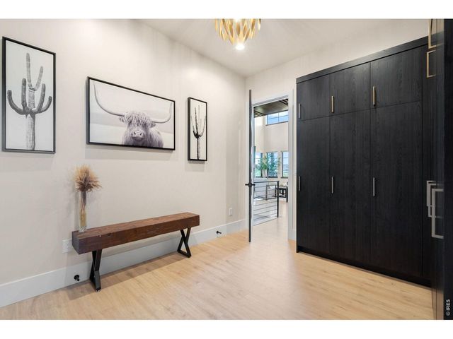 1501 Flowering Tree Ct, Windsor, CO 80550