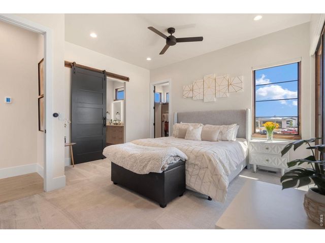 1501 Flowering Tree Ct, Windsor, CO 80550